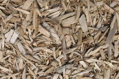 biomass boilers Carburton